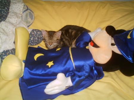 mon chat et micket